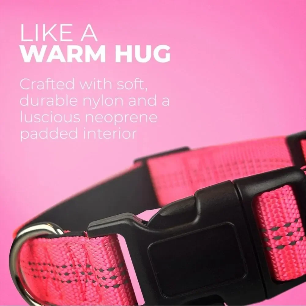 Blazin‎ Reflective Small Dog Collar- Brilliant Blue